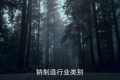 钠制造行业类别