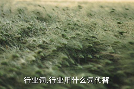 中国行业词,行业用什么词代替