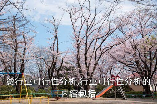 麻辣烫行业可行性分析,行业可行性分析的内容包括