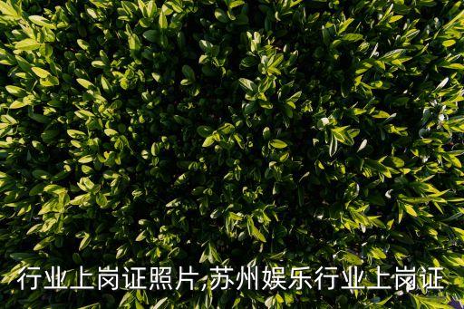 行业上岗证照片,苏州娱乐行业上岗证