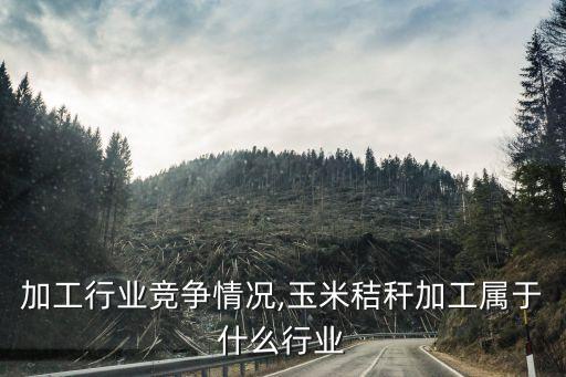 玉米加工行业竞争情况,玉米秸秆加工属于什么行业