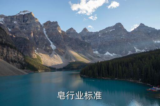 皂行业标准