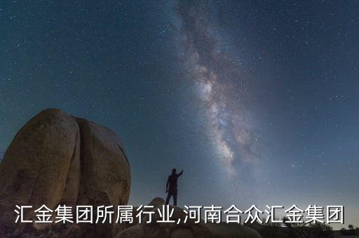 河南汇金集团所属行业,河南合众汇金集团