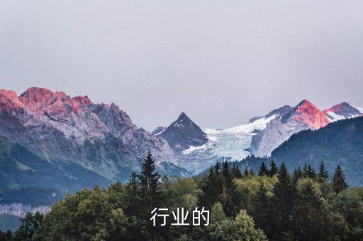 行业的