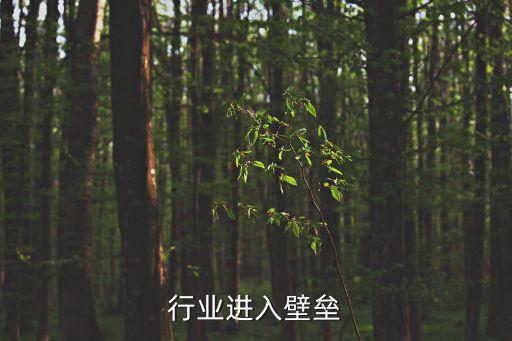行业进入壁垒