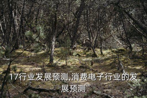 2017行业发展预测,消费电子行业的发展预测