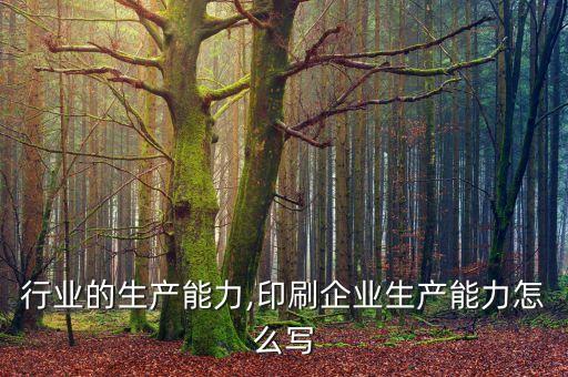 印刷行业的生产能力,印刷企业生产能力怎么写