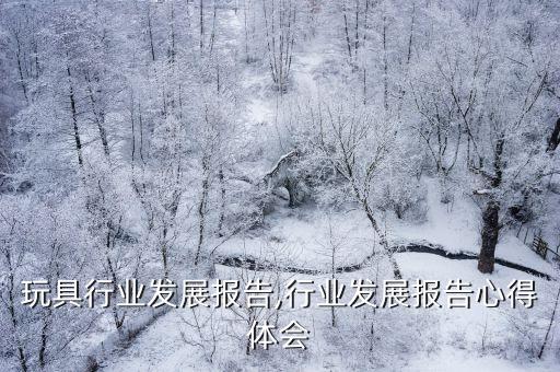 中国玩具行业发展报告,行业发展报告心得体会