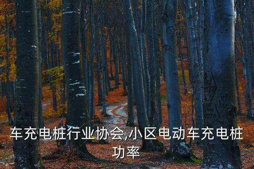 车充电桩行业协会,小区电动车充电桩功率