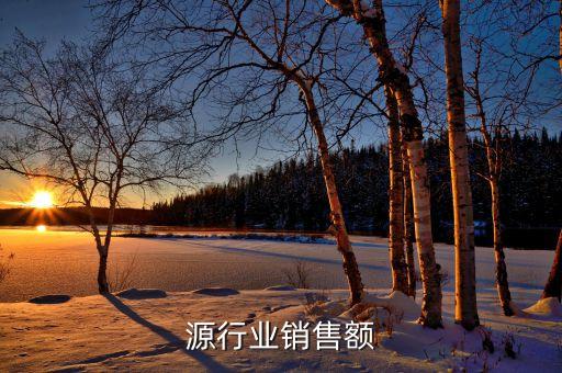 源行业销售额
