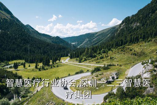 深圳智慧医疗行业协会,深圳一二三智慧医疗集团