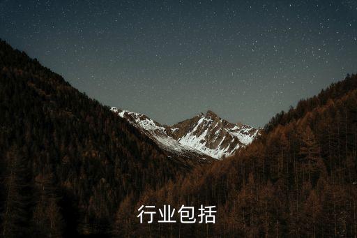 软件行业包括