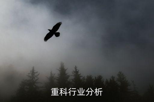 重科行业分析