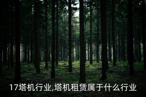 17塔机行业,塔机租赁属于什么行业