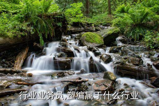 塑编行业业务员,塑编属于什么行业