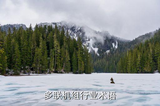 多联机组行业术语