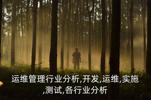 it运维管理行业分析,开发,运维,实施,测试,各行业分析