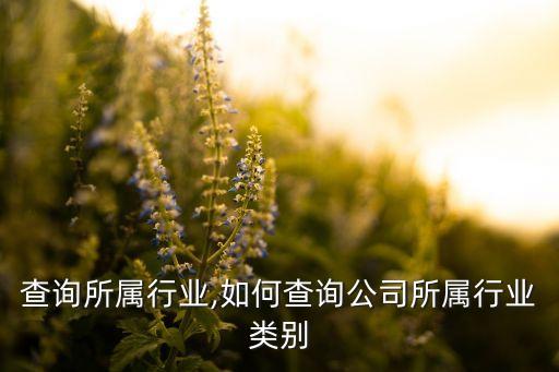 查询所属行业,如何查询公司所属行业类别
