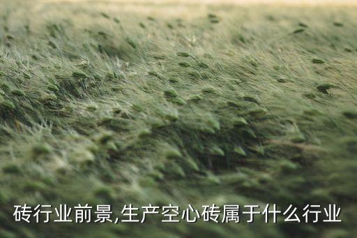 砖行业前景,生产空心砖属于什么行业