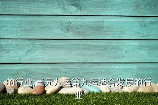 发展的行业,三元九运第九运适合发展的行业