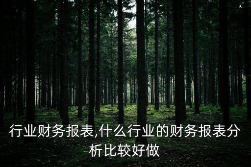 修理行业财务报表,什么行业的财务报表分析比较好做