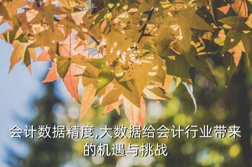 行业会计数据精度,大数据给会计行业带来的机遇与挑战