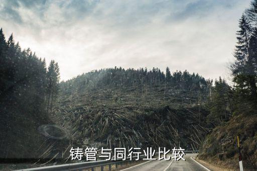 新兴铸管与同行业比较