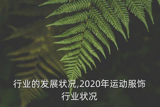 行业的发展状况,2020年运动服饰行业状况