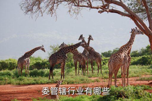 委管辖行业有哪些