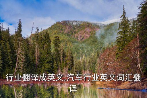 美容行业翻译成英文,汽车行业英文词汇翻译