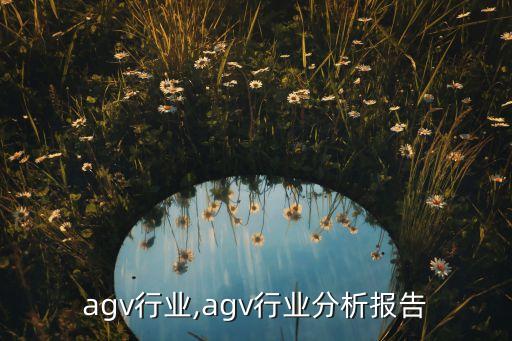 中国agv行业,agv行业分析报告