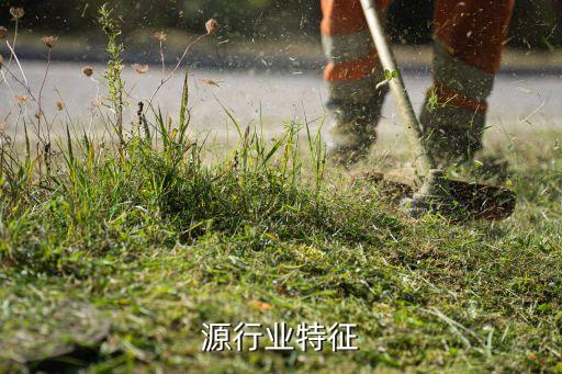 源行业特征