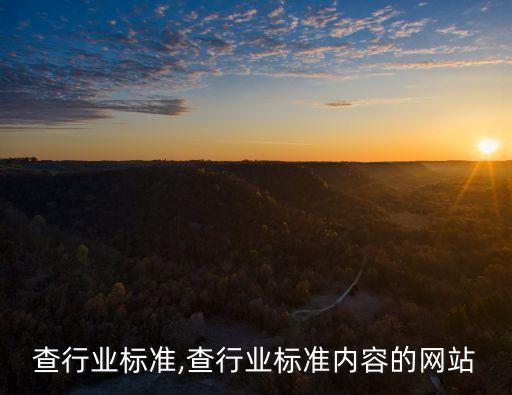 想要查行业标准,查行业标准内容的网站