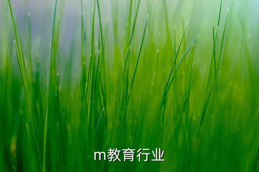 ibm教育行业