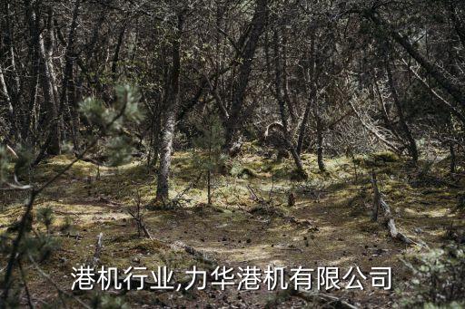 华 港机行业,力华港机有限公司