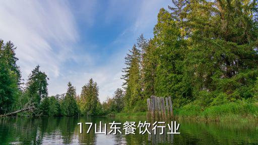 17山东餐饮行业