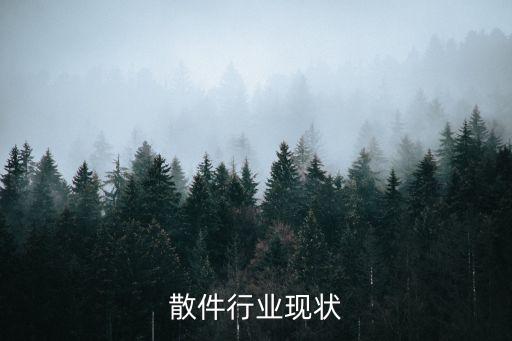 散件行业现状