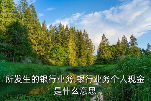 所发生的银行业务,银行业务个人现金是什么意思