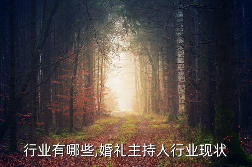 行业有哪些,婚礼主持人行业现状