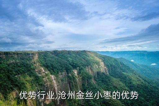 优势行业,沧州金丝小枣的优势