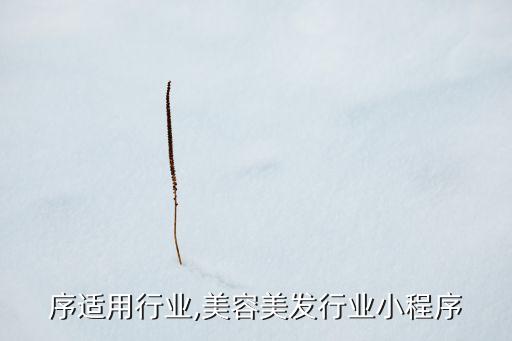小程序适用行业,美容美发行业小程序