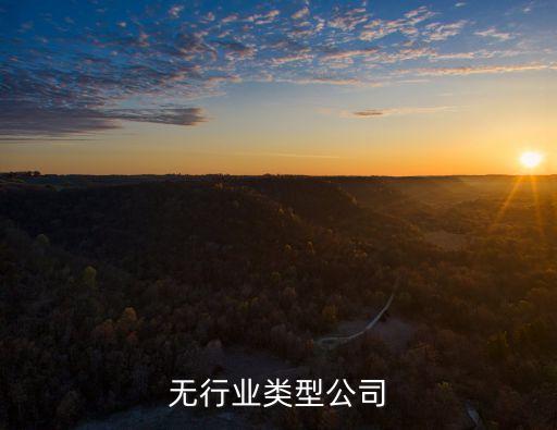 无行业类型公司