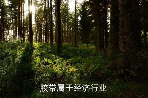 胶带属于经济行业