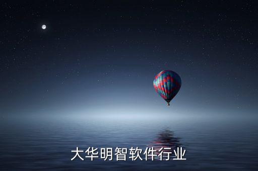 北京大华明智软件行业
