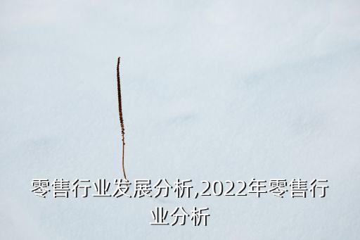 全球零售行业发展分析,2022年零售行业分析