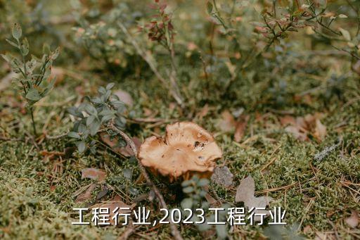 离开工程行业,2023工程行业