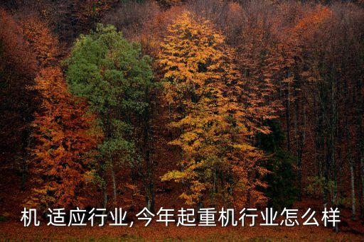 起重机 适应行业,今年起重机行业怎么样