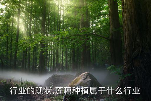 行业的现状,莲藕种植属于什么行业