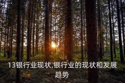 2013银行业现状,银行业的现状和发展趋势