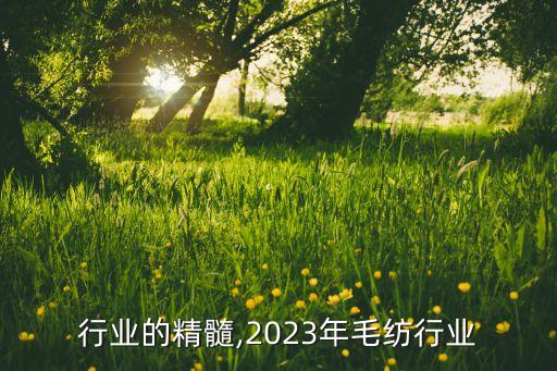 行业的精髓,2023年毛纺行业